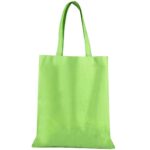SIN 043 V bolsa toledo color verde 1