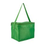 SIN 057 V hielera kosta color verde 1