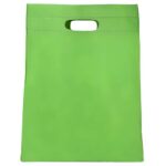 SIN 131 V bolsa cimboa color verde 1